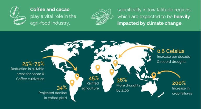 cocoa and coffee infographic