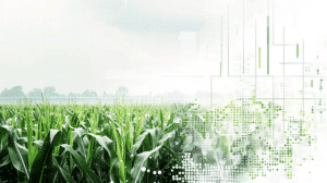 Building a Climate-Resilient Crop Supply Chain